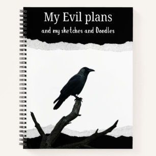 My Evil Plans and my sketches and doodles Notebook