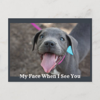 My Face When I See You Cute Puppy Postcard