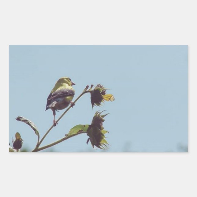 My fave little visitors.  #bird #nature #wildlife rectangular sticker (Front)