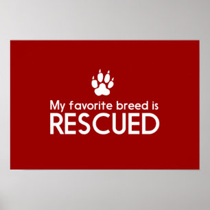 My Favourite Breed is Rescued Poster
