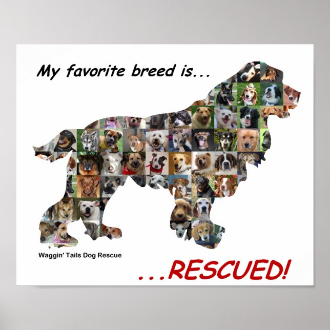 My Favourite Breed is Rescued poster (Front)