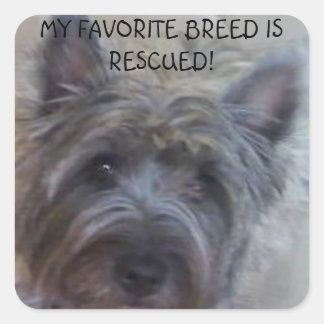 My Favourite Breed is Rescued! Square Sticker