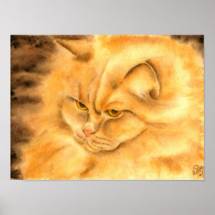 My favourite ginger cat poster