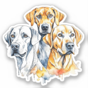 My Favourite People are Dogs
