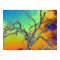 my favourite psychedelic tree