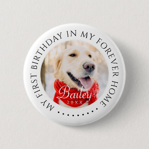 My First Birthday Forever Home Modern Pet Photo 6 Cm Round Badge
