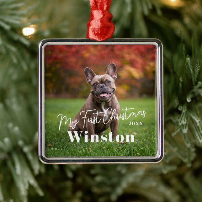 My First Christmas Custom Pet Name Photo Metal Ornament (Tree)