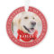 My First Christmas Forever Home Modern Pet Photo