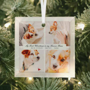 My First Christmas Forever Home Modern Pet Photos Glass Tree Decoration