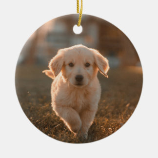 My First Christmas Modern Script Puppy Pet Photo Ceramic Ornament