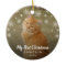 My First Christmas Snowflakes Cat Photo
