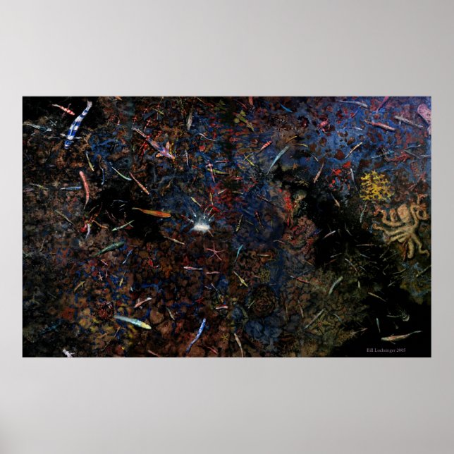 My Fish - Poster (Front)