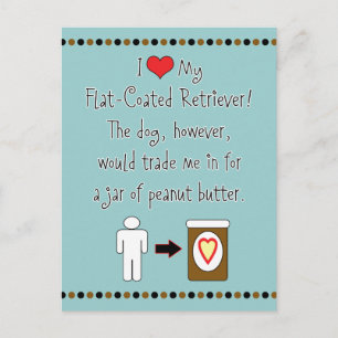 My Flat-Coated Retriever Loves Peanut Butter Postcard