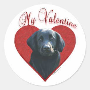 My Flat-Coated Retriever Valentine Classic Round Sticker
