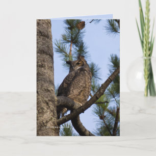 My Forest Neighbour Card