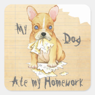 My French Bulldog Ate My Homework Square Sticker