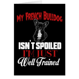 My French Bulldog Isn't Spoiled