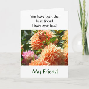 My Friend cards Best Friend I've Ever had card
