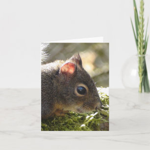 My Friend Fuzzy Card