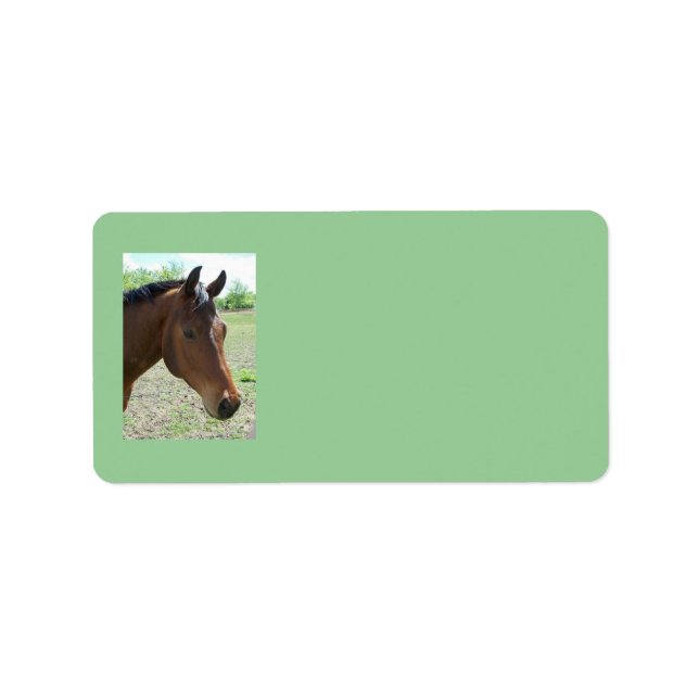 My Friend, The Horse Address Labels (Front)
