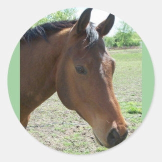 My Friend, The Horse Classic Round Sticker