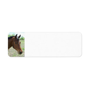 My Friend, The Horse - Personalised Return Address Label