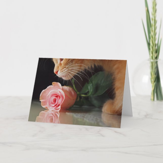 My funny Valentine Holiday Card (Front)