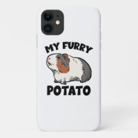 My furry potato guinea pig