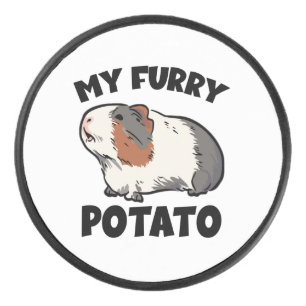 My furry potato guinea pig hockey puck