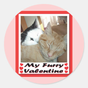My Furry Valentine Classic Round Sticker