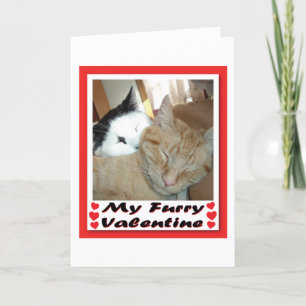 My Furry Valentine Holiday Card