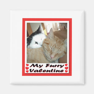My Furry Valentine Magnet