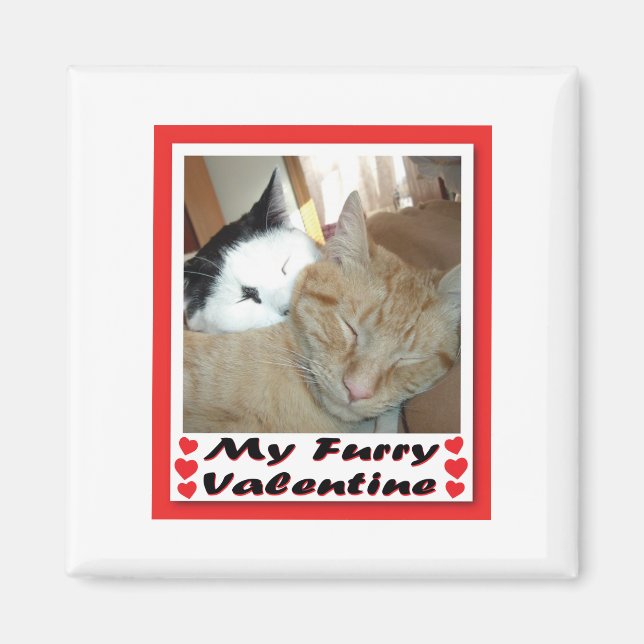 My Furry Valentine Magnet (Front)