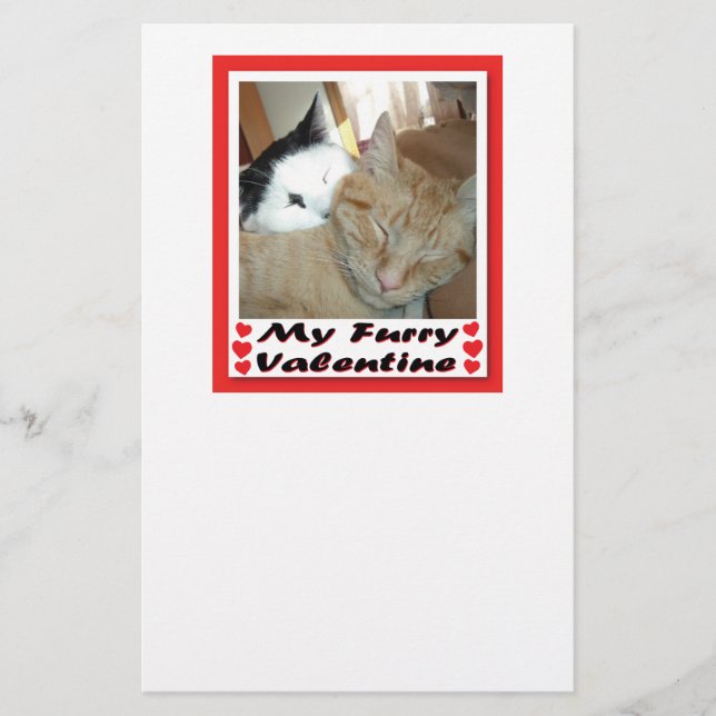 My Furry Valentine Stationery (Front)