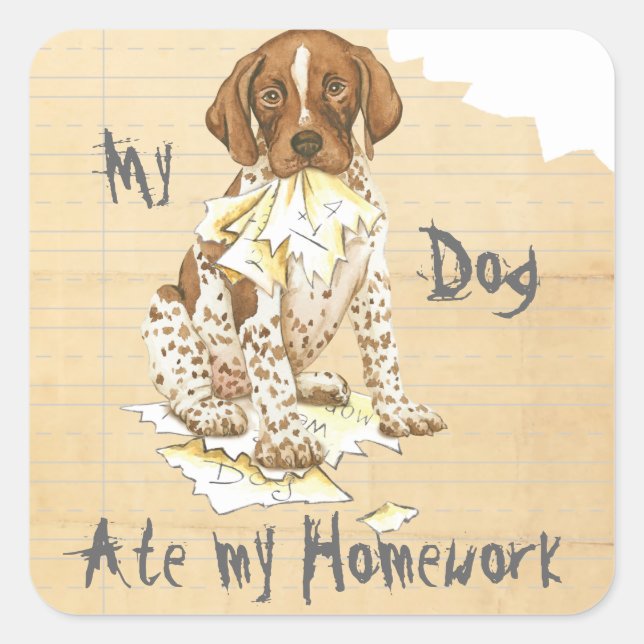 My German Shorthaired Pointer Ate My Homework Square Sticker (Front)
