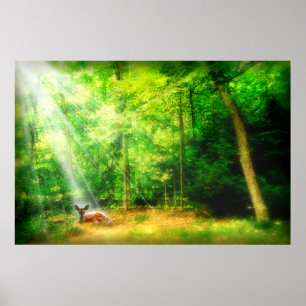 My Glory Poster