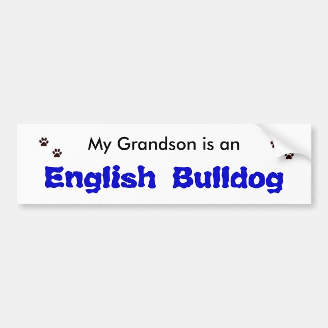 My Grandson is an English Bulldog Bumper Sticker (Front)
