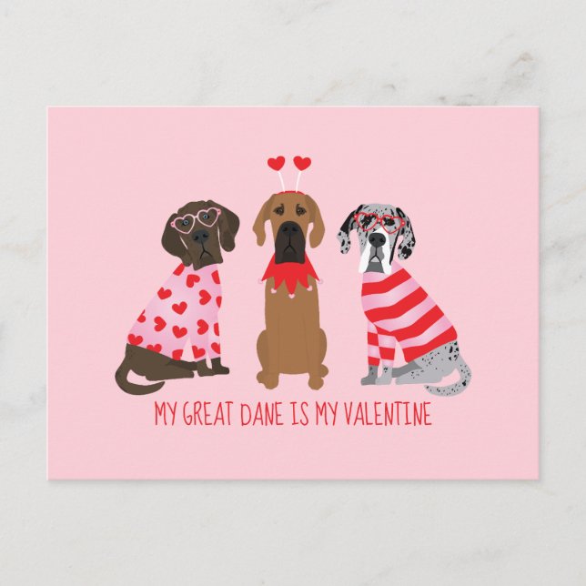 My Great Dane Is My Valentine Postcard (Front)