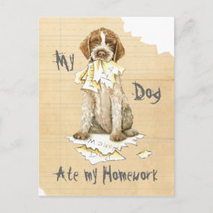 My Griffon Ate my Homework Postcard