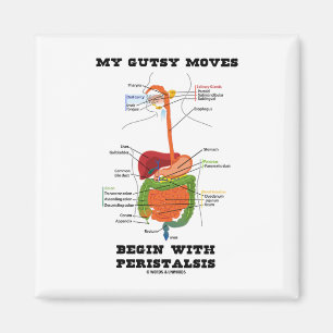 My Gutsy Moves Begin With Peristalsis (Digestive) Magnet