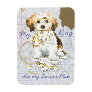 My Havanese Ate My Lesson Plan Magnet