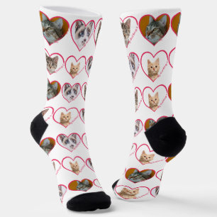 My Heart Belongs To Personalised 4 Cat Photo, Name Socks