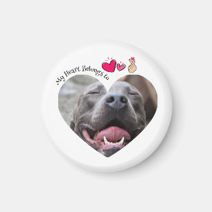 My Heart Belongs to Pitbull dog custom photo Magnet