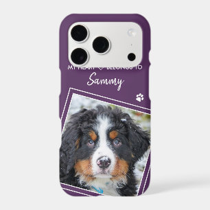 My Heart Belongs To Purple Dog Cat Pet Photo