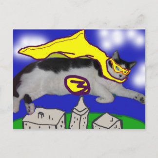 My Hero Cat Postcard