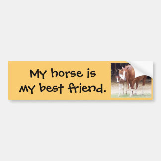 My horse is my best friend sticker