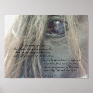 My Horse's Eye 11x8.25 matte print uv