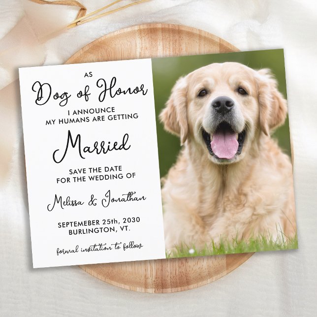 My Humans Are Getting Married Custom Dog Wedding Announcement Postcard (Creator Uploaded)