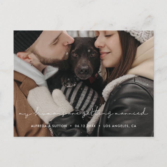 My humans are getting married Dog photo Announcement Postcard (Front)