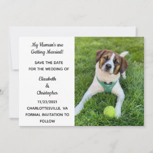 My Human's Are Getting Married Dog Photo Save The  Date